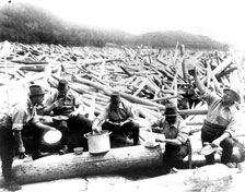 Lunch on the logs